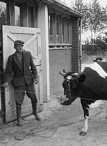 Afbeelding voor Dorpsfilm Nagele