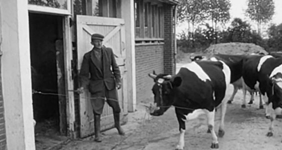 Afbeelding voor Dorpsfilm Nagele