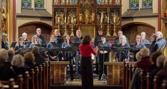 Afbeelding voor Musica Vocalis: Scandinavische Baltische muziek