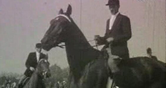 Afbeelding voor Parachutespringen en Concours Hippique
