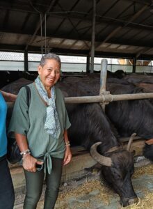Afbeelding voor Ondanks vakantie volop actie!