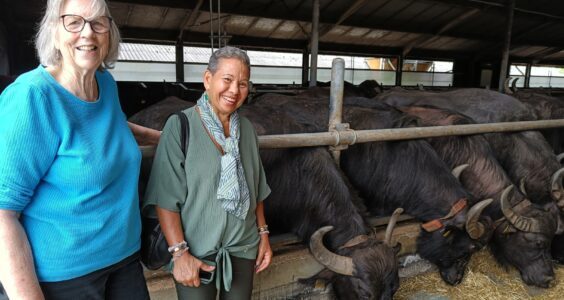 Afbeelding voor Ondanks vakantie volop actie!