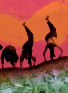 Afbeelding voor Vrijheid in Voeding