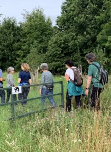 Afbeelding voor Wandel gezond!