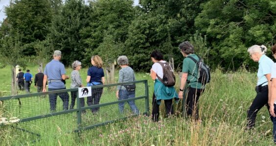 Afbeelding voor Wandel gezond!