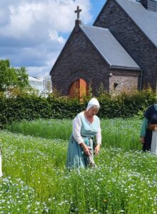 Afbeelding voor Vlas- en woldag