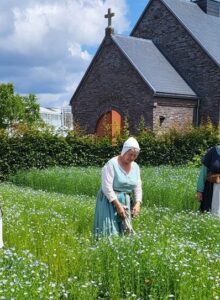 Afbeelding voor Vlas- en woldag