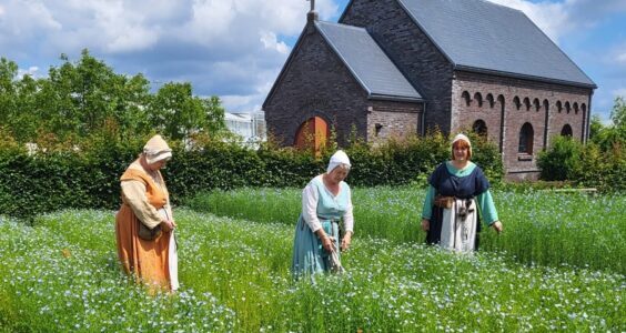 Afbeelding voor Vlas- en woldag