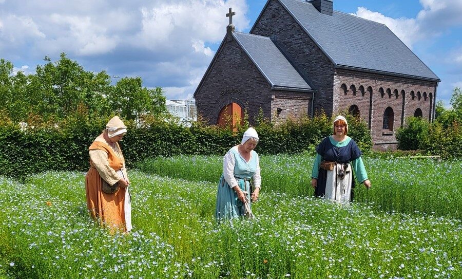 Afbeelding Vlas- en woldag