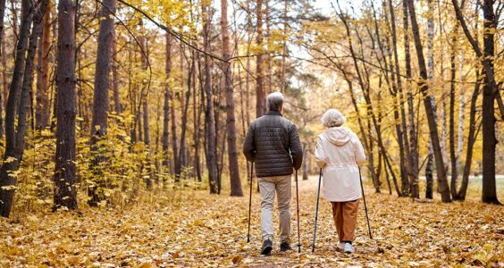 Afbeelding voor Ontvang 5 EURO korting op de Najaarsbox!