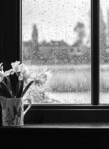 Afbeelding voor Podcast ‘Het laatste stukje léven’