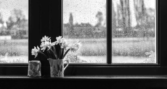 Afbeelding voor Podcast ‘Het laatste stukje léven’