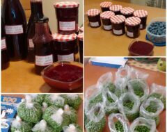 Afbeelding voor Heel Holland oogst