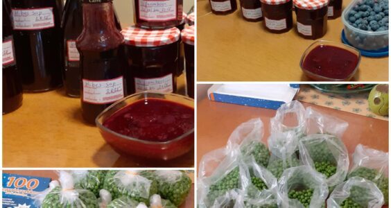 Afbeelding voor Heel Holland oogst