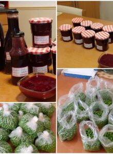 Afbeelding voor Heel Holland oogst