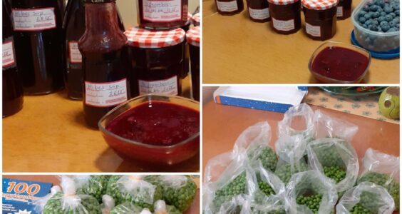 Afbeelding voor Heel Holland oogst