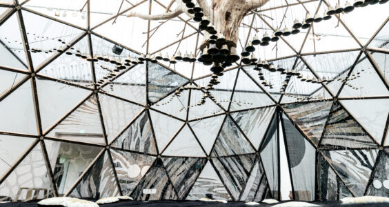 Afbeelding voor Tentoonstelling ‘Sara Vrugt – Roerloos’