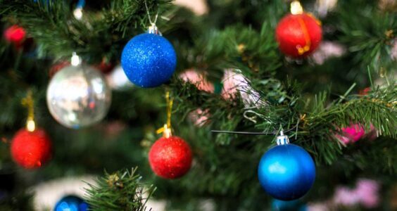 Afbeelding voor Dag Sinterklaasje, hallo kerstboom