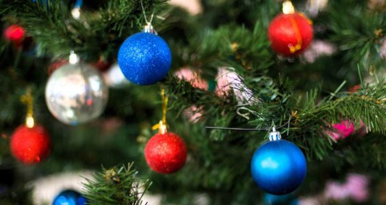 Afbeelding voor Dag Sinterklaasje, hallo kerstboom
