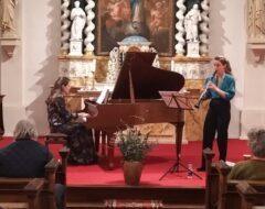 Afbeelding voor Concert Dam & Does