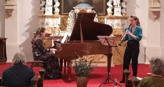 Afbeelding voor Concert Dam & Does