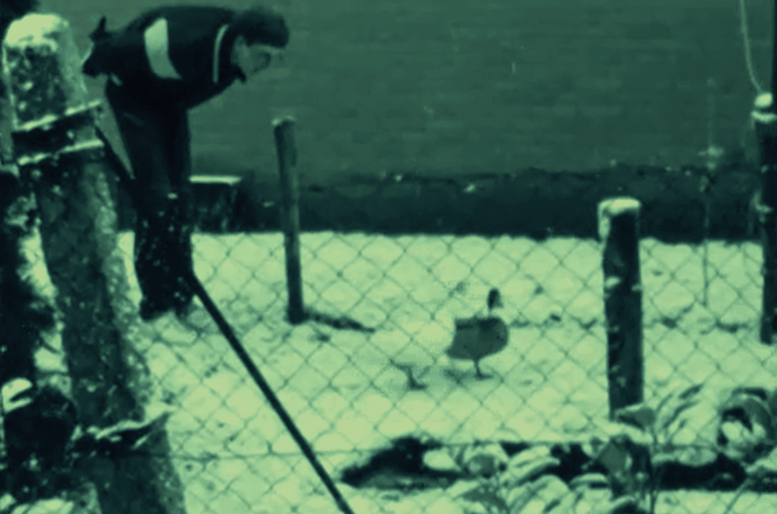 Afbeelding voor Pret in de achtertuin