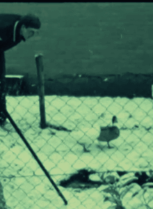 Afbeelding voor Pret in de achtertuin