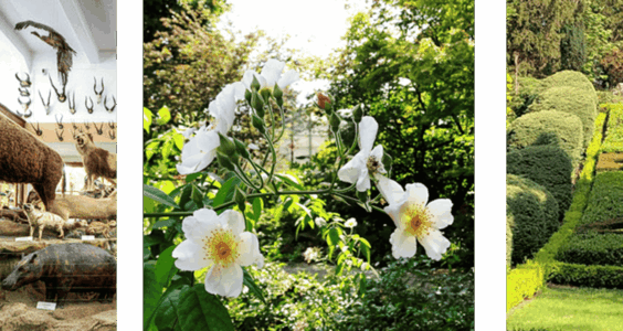 Afbeelding voor Korting voor groepen vanaf 20 personen