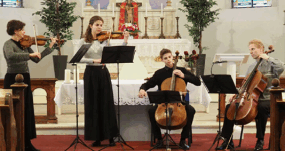 Afbeelding voor Concert Sedlák Virtuosi