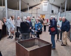 Afbeelding voor KBO leden op bezoek bij paardenmelkerij