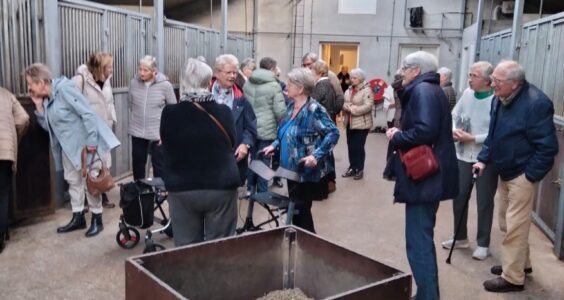 Afbeelding voor KBO leden op bezoek bij paardenmelkerij