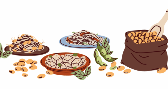 Afbeelding voor Plantaardig en toch eiwitrijk