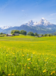 Afbeelding voor A few of my favorite things