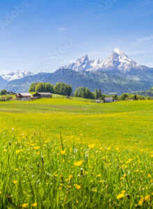 Afbeelding voor A few of my favorite things