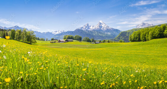 Afbeelding voor A few of my favorite things