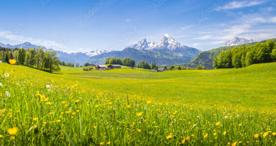 Afbeelding voor A few of my favorite things