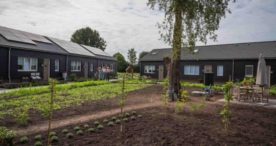 Afbeelding voor Zelfstandig wonen – en toch samen