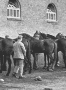 Afbeelding voor Een Koninklijke Dag in Beweging