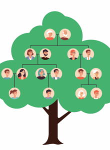 Afbeelding voor Wel of geen verklaring van erfrecht?