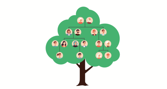 Afbeelding voor Wel of geen verklaring van erfrecht?