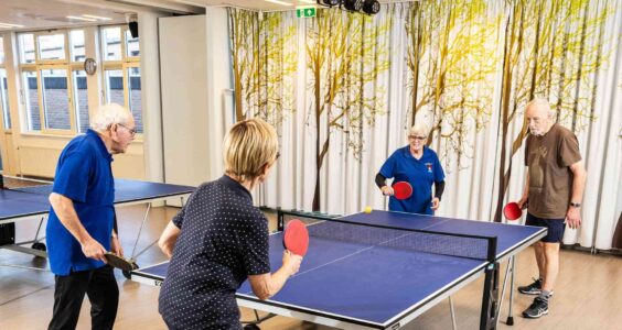 Afbeelding voor Elke week een balletje slaan