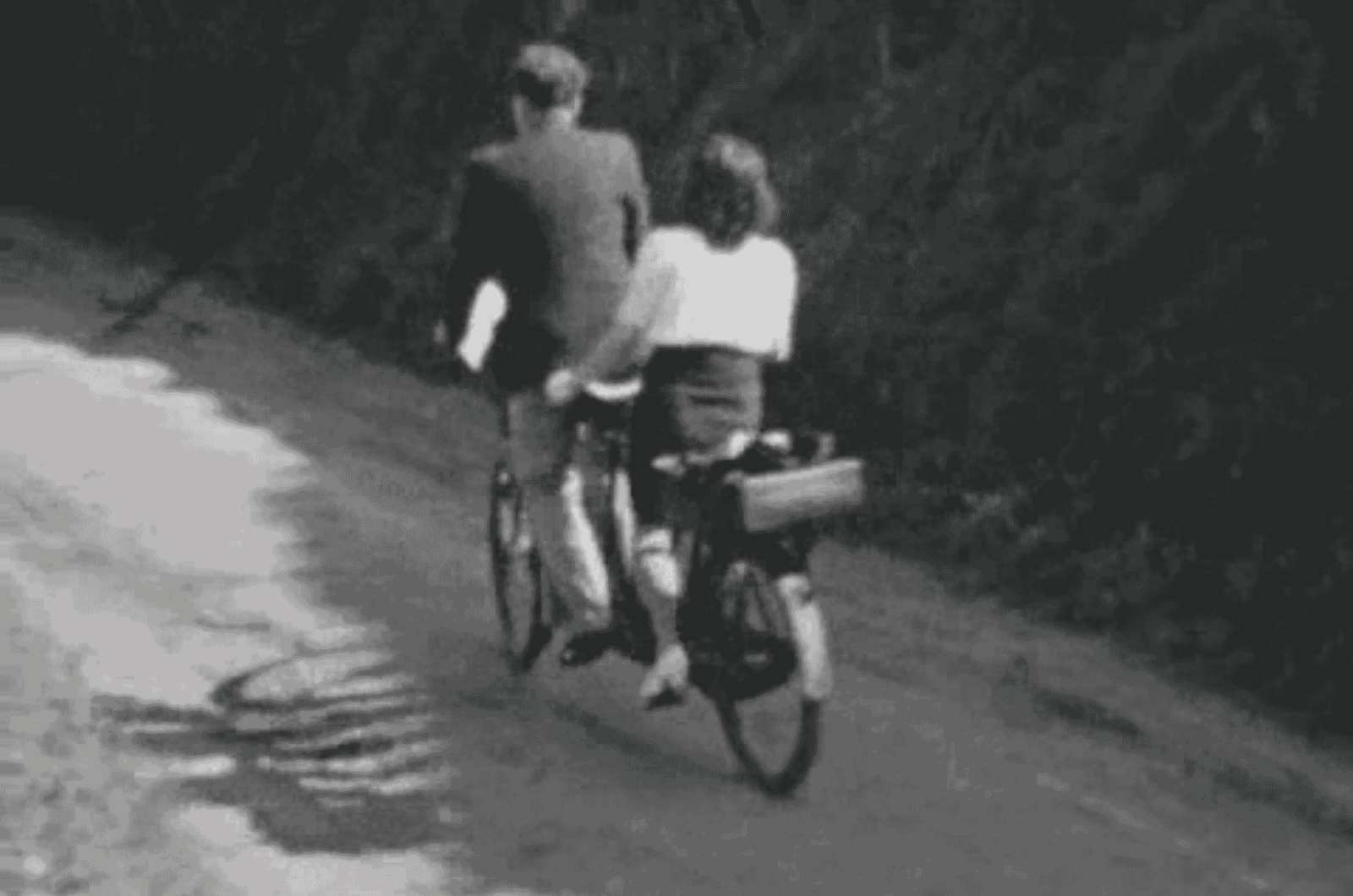 Afbeelding voor Tussen feest en landschap