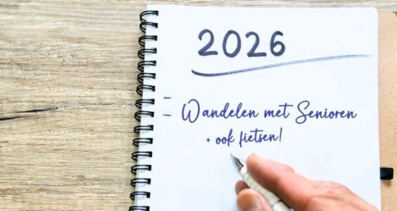 Afbeelding voor Goede voornemens: doorzetten en volhouden