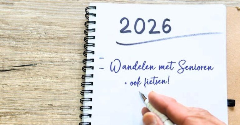 Afbeelding voor Goede voornemens: doorzetten en volhouden