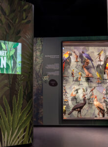 Afbeelding voor Bezoek aan Natuurmuseum Brabant