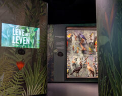 Afbeelding voor Bezoek aan Natuurmuseum Brabant