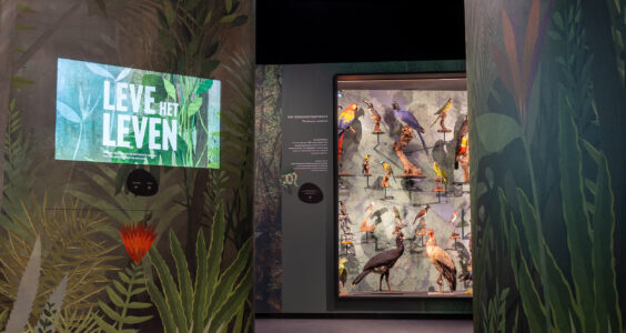 Afbeelding voor Bezoek aan Natuurmuseum Brabant