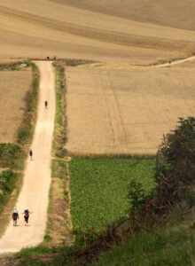 Afbeelding voor De Camino. De reis van je leven