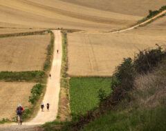 Afbeelding voor De Camino. De reis van je leven