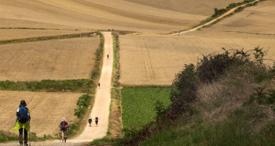 Afbeelding voor De Camino. De reis van je leven
